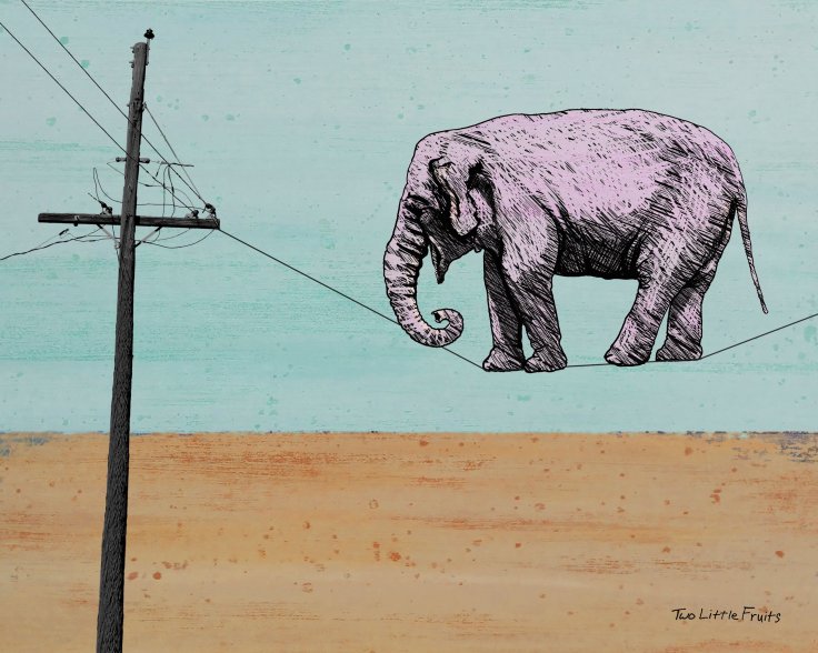 Elephant on Tightrope